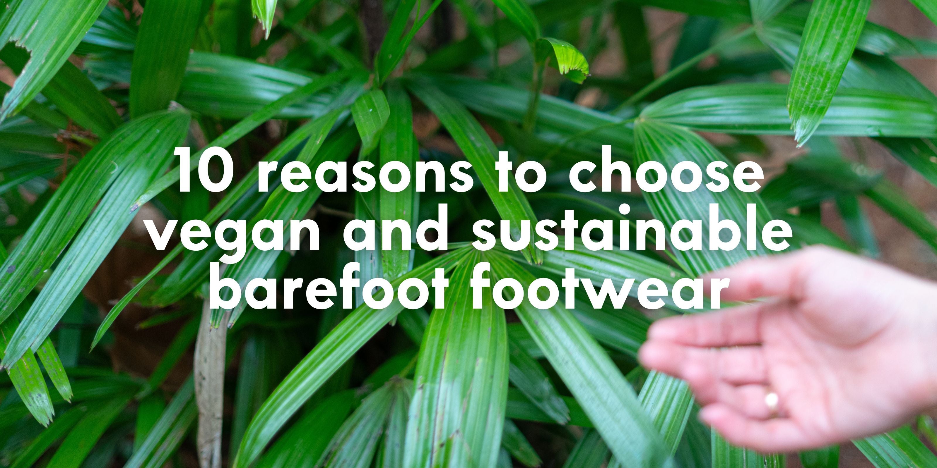 10 reasons to choose vegan and sustainable barefoot footwear – BEFLAMBOYANT