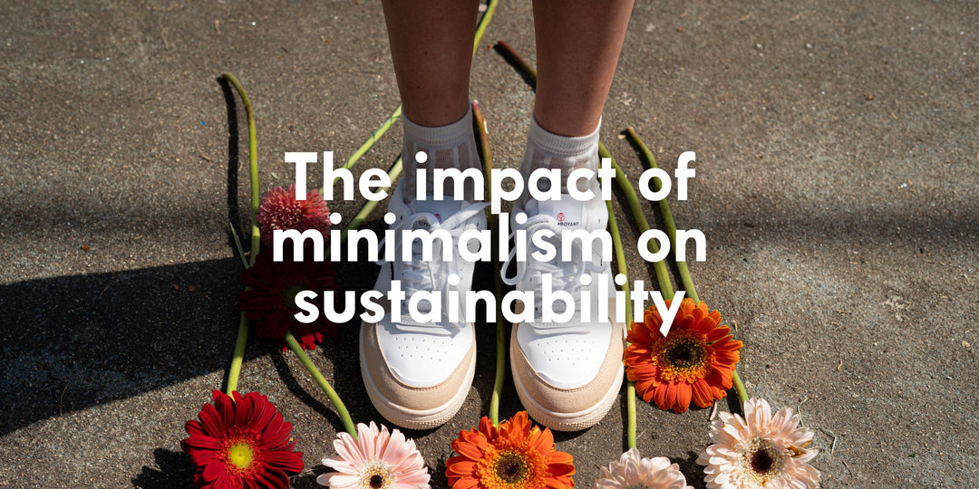 The impact of minimalism on sustainability